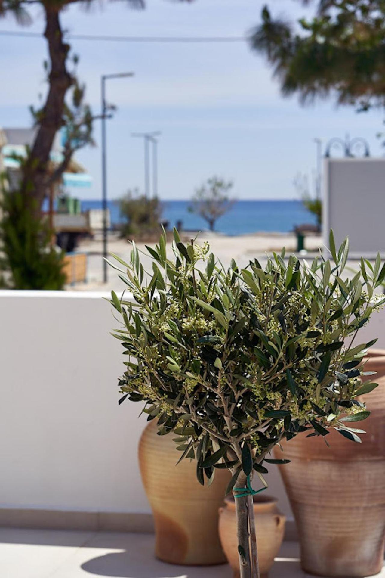 Sia Mare Seaside Apartments Faliraki Pokoj fotografie